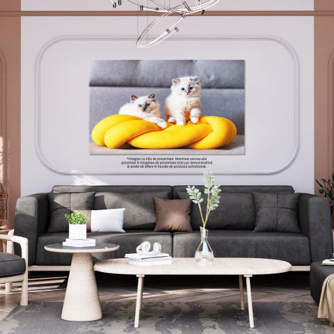 Kitten Ragdoll în Repous - Pisoi de Rasă Pură cu Privire Dulce, Marime 40x25CM [2]