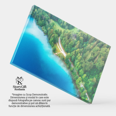 Tablou canvas cu lac, case, padure, natura, conifere, multicolor 40x25CM [3]