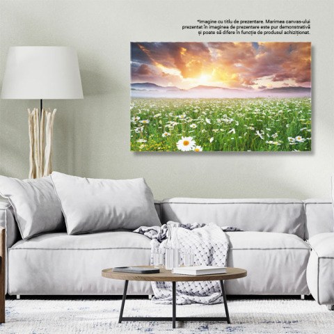Tablou Canvas -Cu Margarete in Dimineata Cetoasa natura, peisaj, dimineata, ceai, flori 1594 40x25CM [2]