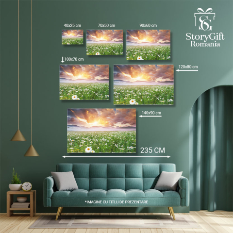 Tablou Canvas -Cu Margarete in Dimineata Cetoasa natura, peisaj, dimineata, ceai, flori 1594 40x25CM [4]