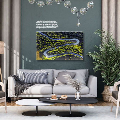 Tablou canvas cu padure, sosea, vedere aeriana, drona, copaci, multicolor 40x25CM [2]