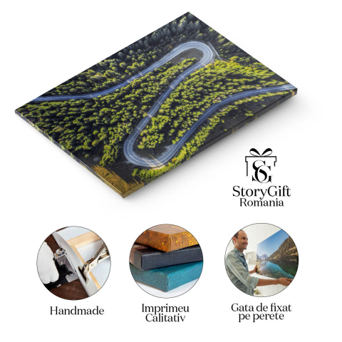 Tablou canvas cu padure, sosea, vedere aeriana, drona, copaci, multicolor 40x25CM [1]