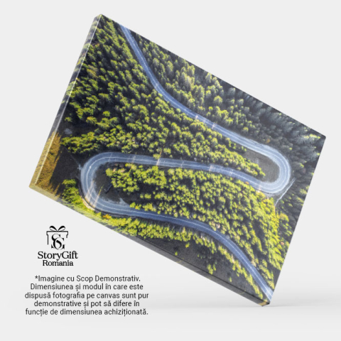 Tablou canvas cu padure, sosea, vedere aeriana, drona, copaci, multicolor 40x25CM [3]