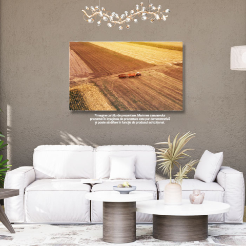 Tablou canvas cu peisaj, agricultura, tractor, camp, grau, multicolor 40x25CM [2]