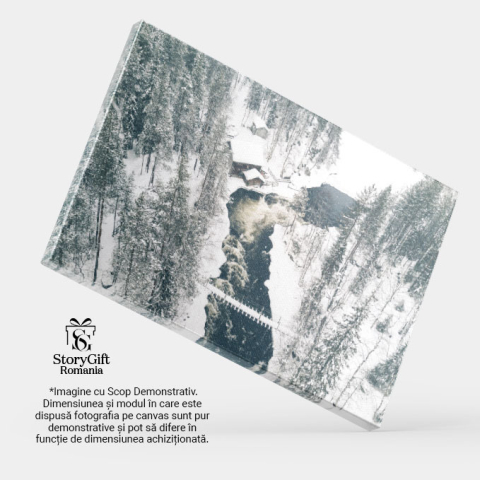 Tablou canvas cu peisaj montan, iarna, zapada, pod, rau, multicolor 40x25CM [3]