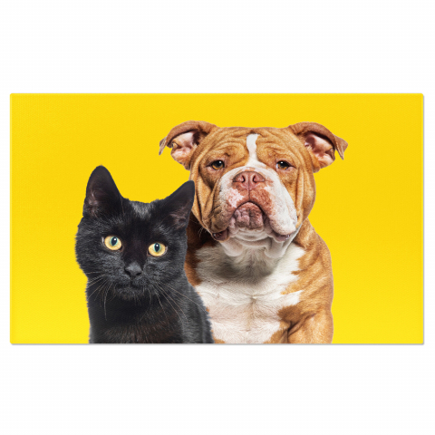 Câini - Pisica și Câinele - O Poveste de Prietenie în Natură, Marime 40x25CM