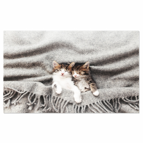 Pisici - Pisoi Adormit în Poziție Inversă - Moment de Relaxare pentru Micul Felin, Marime 40x25CM