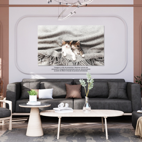 Pisoi Adormit în Poziție Inversă - Moment de Relaxare pentru Micul Felin, Marime 40x25CM [2]