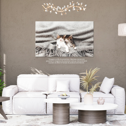 Pisoi Adormit în Poziție Inversă - Moment de Relaxare pentru Micul Felin, Marime 40x25CM [3]