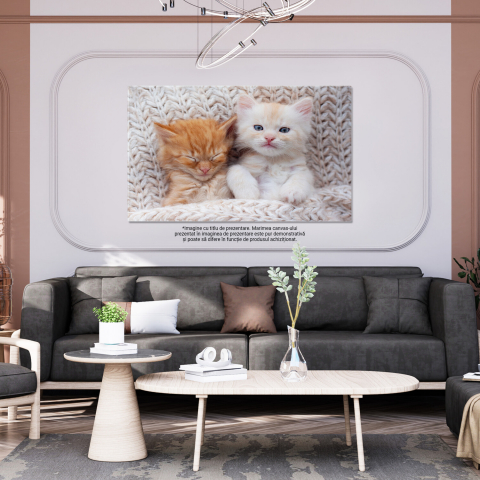 Pisoi Gingaș - Somn Dulce și Blană Moale, Marime 40x25CM [2]