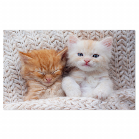 Pisici - Pisoi Gingaș - Somn Dulce și Blană Moale, Marime 40x25CM