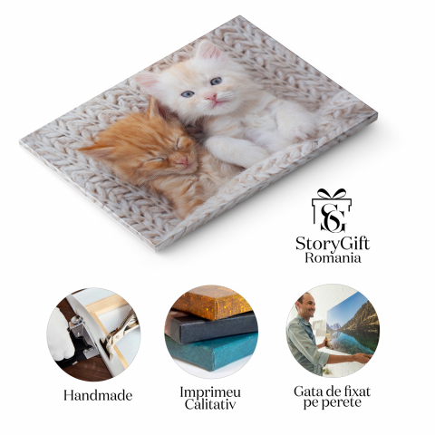 Pisoi Gingaș - Somn Dulce și Blană Moale, Marime 40x25CM [1]