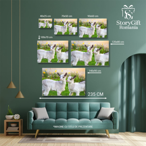 Tablou Canvas cu Pui de Capra in Gradina - Micute Fiinte Curioase 40x25CM [4]