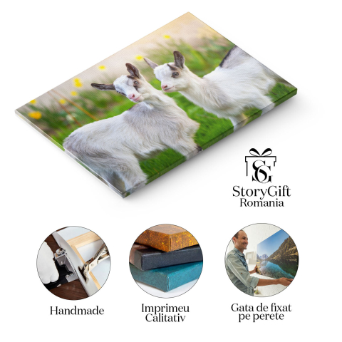 Tablou Canvas cu Pui de Capra in Gradina - Micute Fiinte Curioase 40x25CM [1]