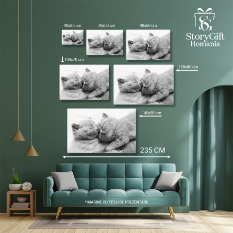 Tablou Canvas cu Pui de Pisica Somnoros - Dragoste si Caldura in Somn 40x25CM [4]