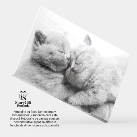 Tablou Canvas cu Pui de Pisica Somnoros - Dragoste si Caldura in Somn 40x25CM [3]