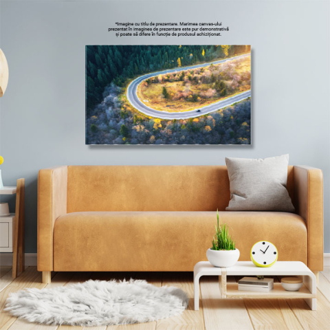 Tablou canvas cu sosea, masina, brazi, copaci, apus, lumina soarelui, multicolor 40x25CM [2]