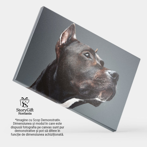 Tablou Canvas cu Staffordshire Bullterrier - Eleganta si Loyalitate 40x25CM [3]