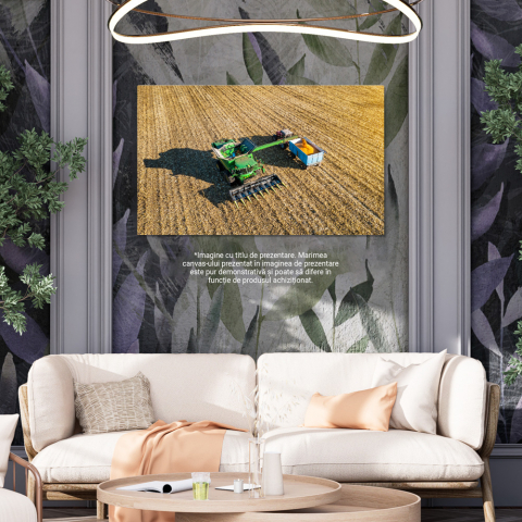 Tablou canvas cu utilaj, tractor, cereale, agricultura, camp, multicolor 40x25 [1]