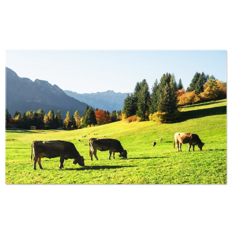 Tablouri Canvas - Tablou Canvas cu Vaci in Dolomiti - Peisaj Alpin in Lumina Soarelui 40x25CM