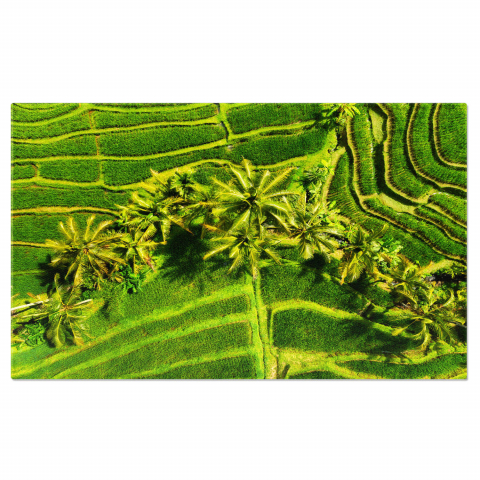 Peisaje cu Drona - Vedere Aeriană a Teraselor pe Fundal Verde, Marime 40x25CM