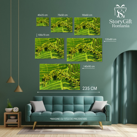 Vedere Aeriană a Teraselor pe Fundal Verde, Marime 40x25CM [3]