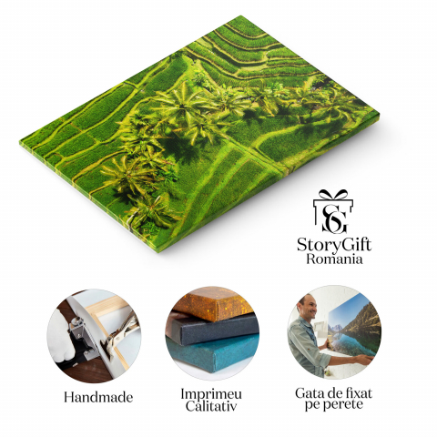 Vedere Aeriană a Teraselor pe Fundal Verde, Marime 40x25CM [1]