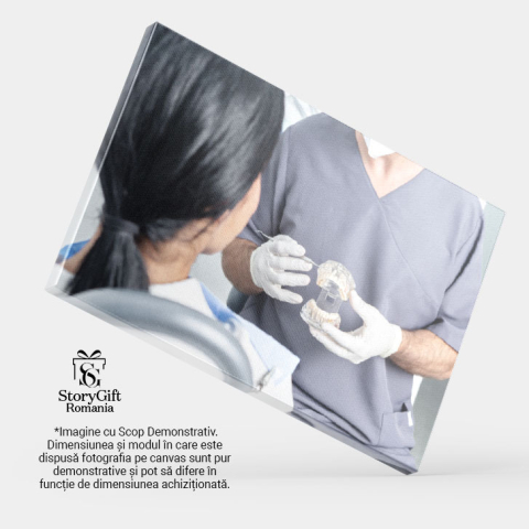 Tablou Canvas Dentist Prezentand un Model Dentar Deschis unui Pacient dentist, sanatate orala, anatomie dentara, demo 1623 40x25CM [3]
