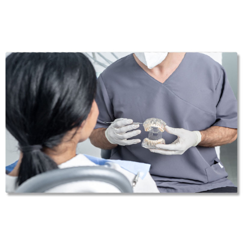 Meserii - Tablou Canvas Dentist Prezentand un Model Dentar Deschis unui Pacient dentist, sanatate orala, anatomie dentara, demo 1623 40x25CM