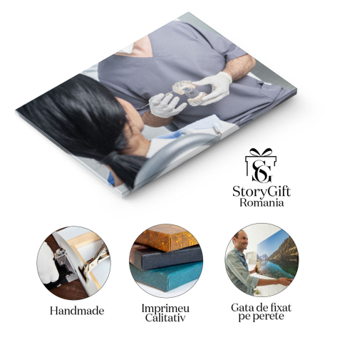 Tablou Canvas Dentist Prezentand un Model Dentar Deschis unui Pacient dentist, sanatate orala, anatomie dentara, demo 1623 40x25CM [1]