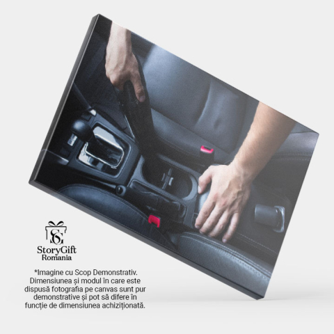 Tablou Canvas: Detalii interioare, curatare auto, echipament, atelier, calitate 40x25CM [3]