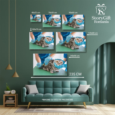 Tablou Canvas Doi Veterinari Fac Injectie oameni, animale, medicina, injectie, ajutor 1496 40x25CM [4]