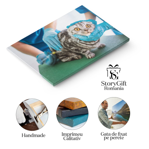 Tablou Canvas Doi Veterinari Fac Injectie oameni, animale, medicina, injectie, ajutor 1496 40x25CM [1]