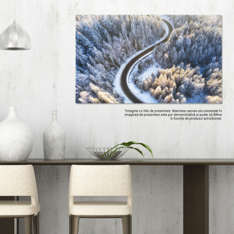 Drum Iarna Aerian, Marime 40x25CM [2]