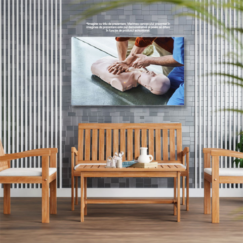 Tablou Canvas: Educatie Medicala si Salvare - Calea catre Siguranta si Bine 40x25CM [2]