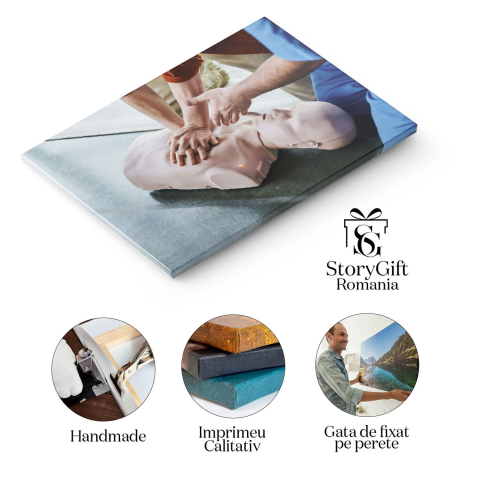 Tablou Canvas: Educatie Medicala si Salvare - Calea catre Siguranta si Bine 40x25CM [1]