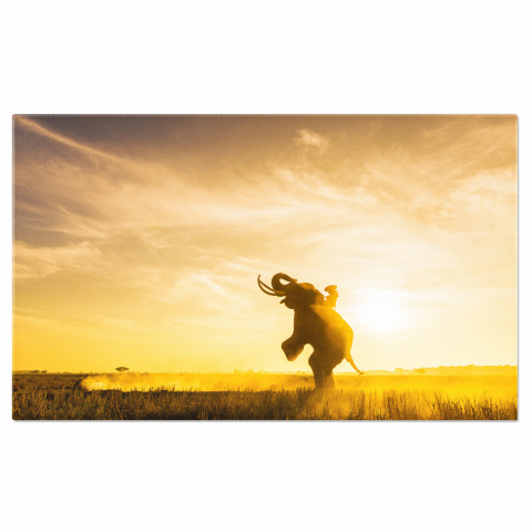 Tablouri Canvas - Elefant la Apus în Peisaj Urban, Marime 40x25CM