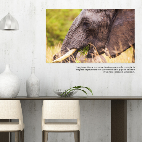 Elefant Masiv în Parcul Național Kenya – Tablou Canvas, Marime 40x25CM [2]
