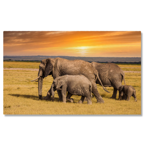 Animale - Tablou Canvas Elefanti cu Elefanti Bebelusi in Parcul National din Kenya safari, apus, turma, familie, natura africana 1821 40x25CM