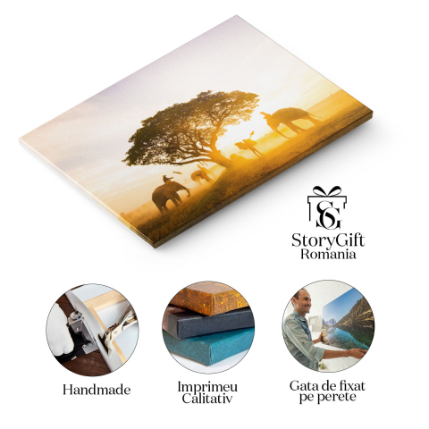 Tablou Canvas Elefanti in Dimineata Pustie a Asiei agro-cultura, mamifere, natura salbatica, colectare, dimineata 1811 40x25CM [1]