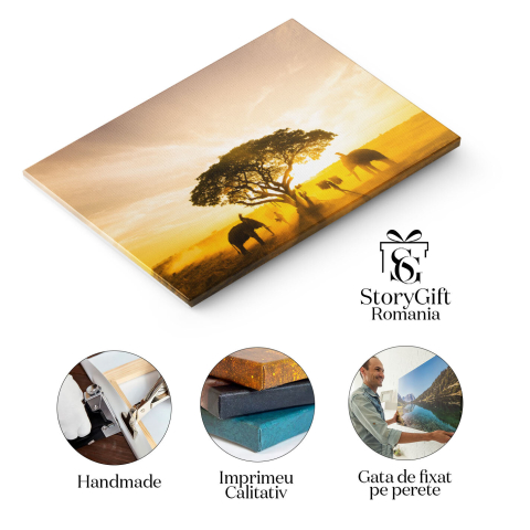 Tablou Canvas Elefanti in Lumina Zorilor din Asia agro-cultura, mamifere, terenuri cultivate, culoare, dimineata 1805 40x25CM [1]