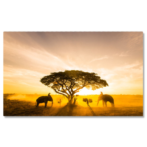 Apus și Răsări - Tablou Canvas Elefanti in Lumina Zorilor din Asia agro-cultura, mamifere, terenuri cultivate, culoare, dimineata 1805 40x25CM