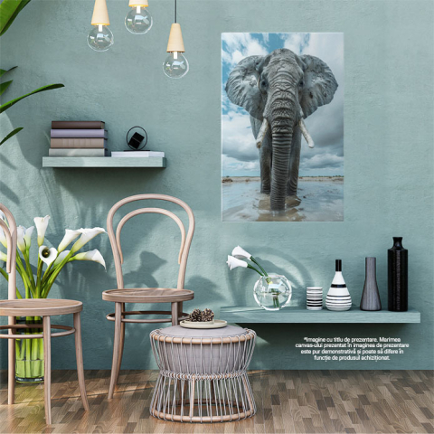 Tablou Canvas Elefantul Gri în Apă Tărâmuri Întinse de Ape și Pământ Portret Singural , Pictura Digitala 40x25CM [1]