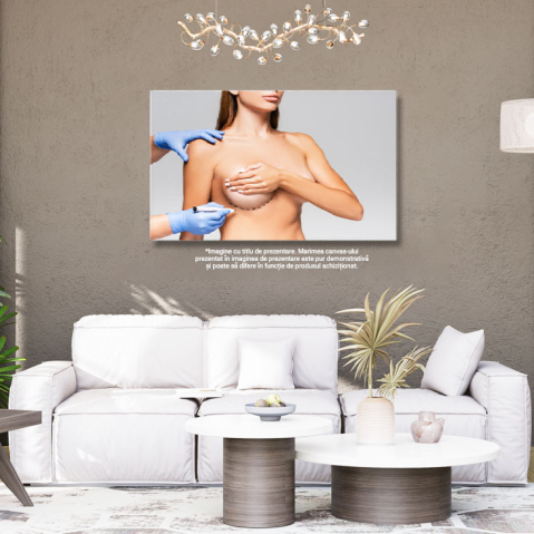 Tablou Canvas: Estetica corpului, chirurgie cosmetica, sanatate, profesionalism, marcare 40x25CM [2]
