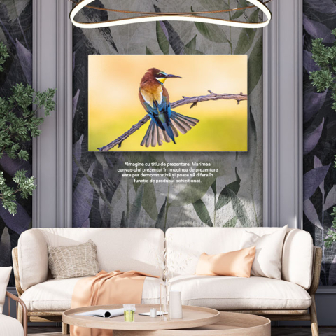 Tablou Canvas: Fascinatia Culorilor si a Vietii Aviare - Pasare, Culori, Privire, Eleganta 40x25CM [2]