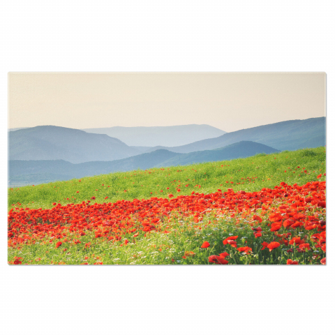 Flori - Flori de Primăvară pe Pajiste: Peisaj Natural și Soare, Marime 40x25CM