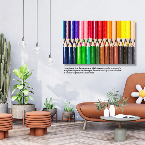 Tablou Canvas Fluture Colorat in Melbourne Fauna, Botanic, Colorat, Detaliu, Frumos 1379 40x25CM [2]