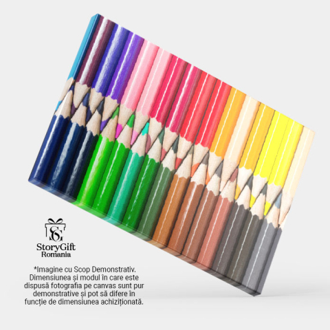 Tablou Canvas Fluture Colorat in Melbourne Fauna, Botanic, Colorat, Detaliu, Frumos 1379 40x25CM [3]