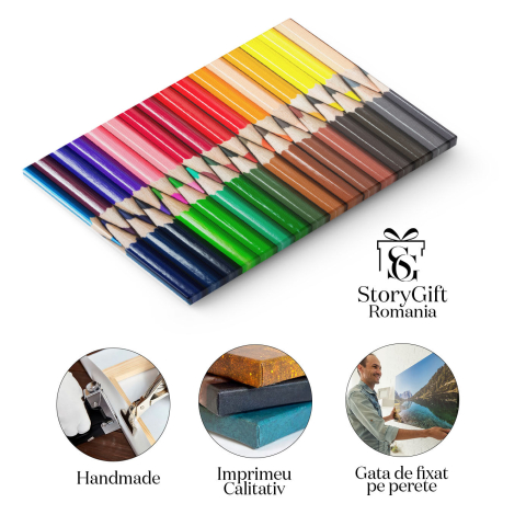 Tablou Canvas Fluture Colorat in Melbourne Fauna, Botanic, Colorat, Detaliu, Frumos 1379 40x25CM [1]