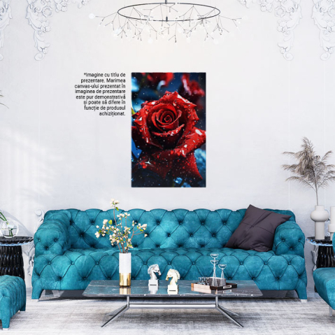 Tablou Canvas:  Fotografie cu un trandafir rosu - picaturi de ploaie Pictura Digitala 40x25CM [1]